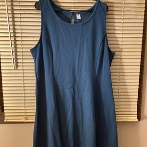 Plus Size Old Navy Skater Dress